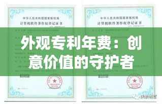 外观专利年费:创意价值的守护者
