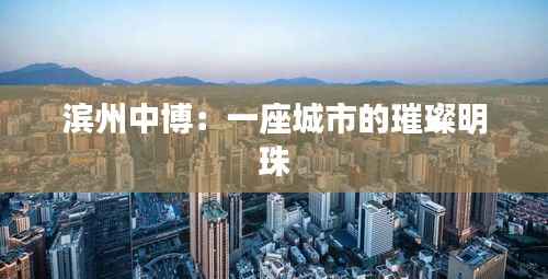 知识产权预算中心 第415页