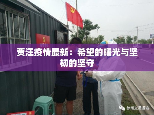 贾汪疫情最新:希望的曙光与坚韧的坚守