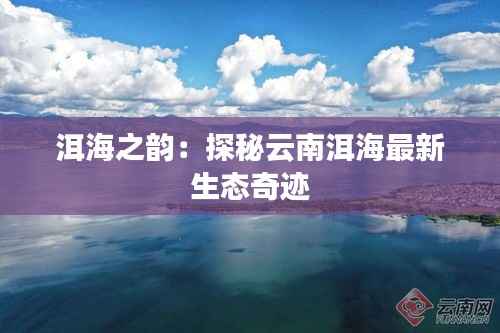 洱海之韵:探秘云南洱海最新生态奇迹
