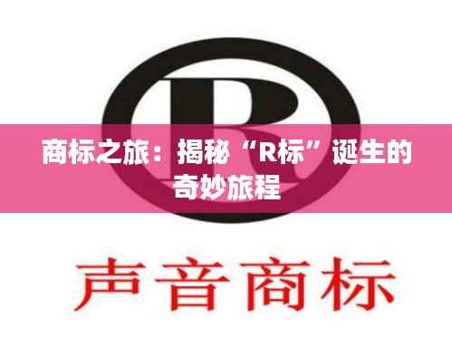 知识产权预算中心 第411页