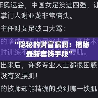 “隐秘的财富漏洞：揭秘最新套钱手段”