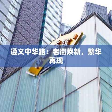 知识产权预算中心 第410页