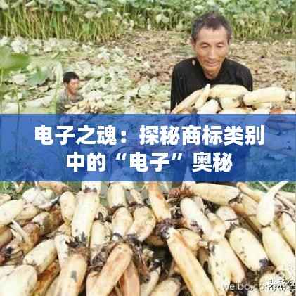 电子之魂:探秘商标类别中的“电子”奥秘