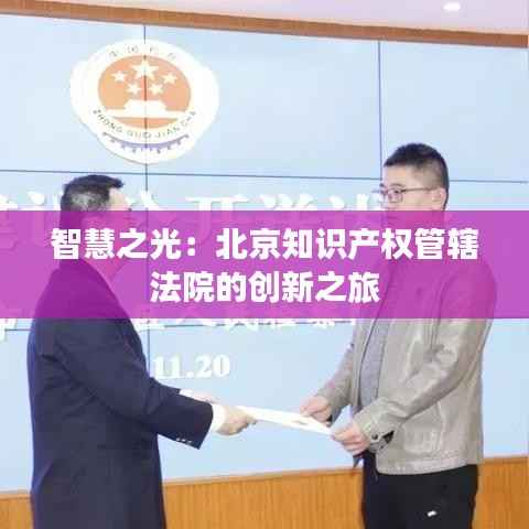 智慧之光:北京知识产权管辖法院的创新之旅