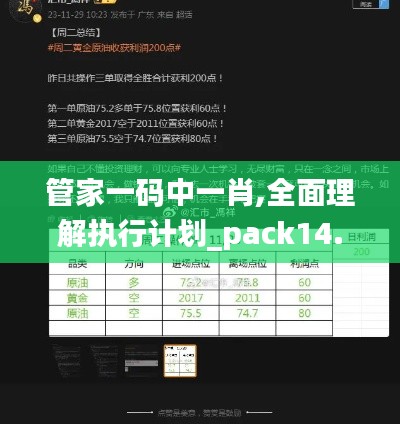 管家一码中一肖,全面理解执行计划_pack14.454