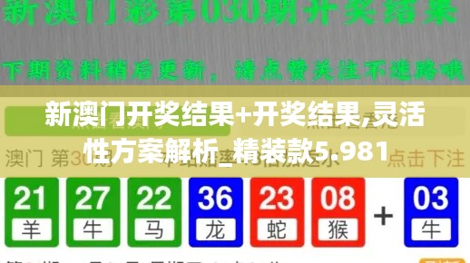 新澳门开奖结果+开奖结果,灵活性方案解析_精装款5.981