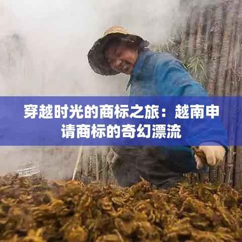 穿越时光的商标之旅：越南申请商标的奇幻漂流