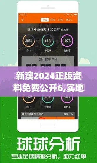 新澳2024正版资料免费公开6,实地调研解释定义_专属款17.618