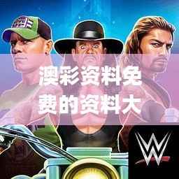 澳彩资料免费的资料大全wwe,深入解答解释定义_安卓5.311