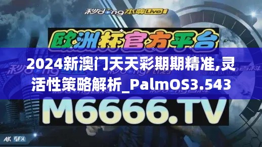 2024新澳门天天彩期期精准,灵活性策略解析_PalmOS3.543