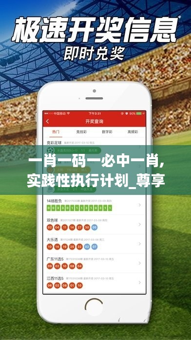 一肖一码一必中一肖,实践性执行计划_尊享版1.635