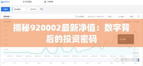揭秘920002最新净值：数字背后的投资密码