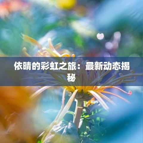 依晴的彩虹之旅:最新动态揭秘