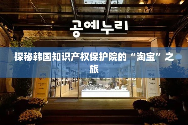 探秘韩国知识产权保护院的“淘宝”之旅