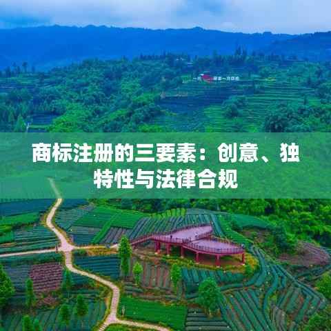 商标注册的三要素：创意、独特性与法律合规