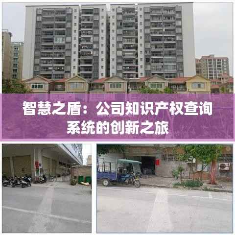 智慧之盾:公司知识产权查询系统的创新之旅