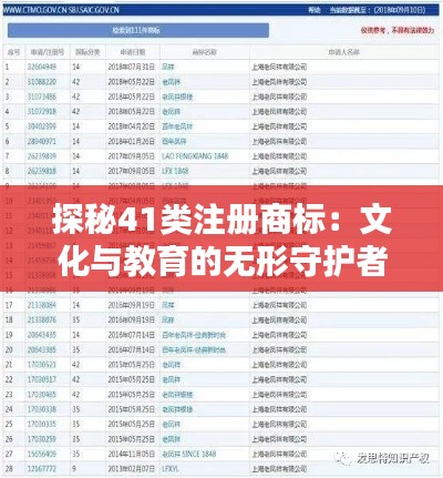 探秘41类注册商标：文化与教育的无形守护者