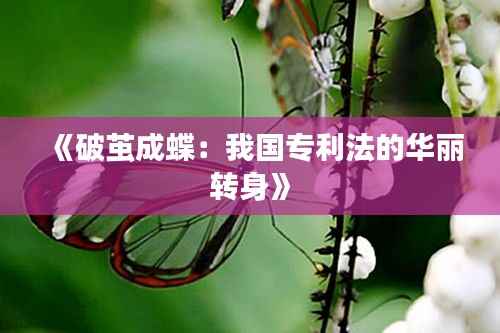 《破茧成蝶：我国专利法的华丽转身》