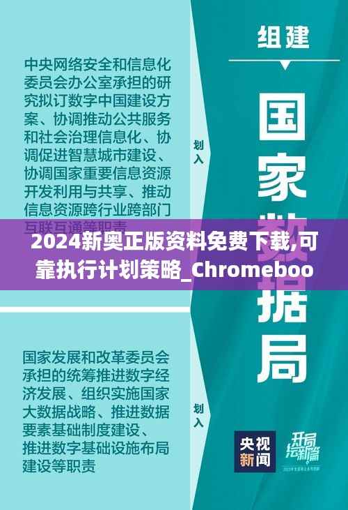 2024新奥正版资料免费下载,可靠执行计划策略_Chromebook10.730