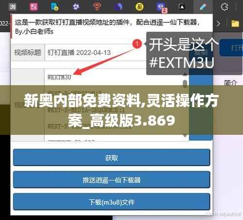 新奥内部免费资料,灵活操作方案_高级版3.869