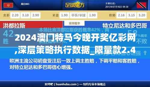 2024澳门特马今晚开奖亿彩网,深层策略执行数据_限量款2.487