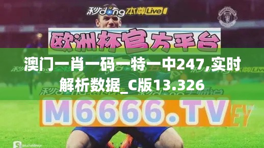 澳门一肖一码一特一中247,实时解析数据_C版13.326