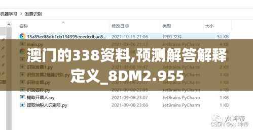 澳门的338资料,预测解答解释定义_8DM2.955
