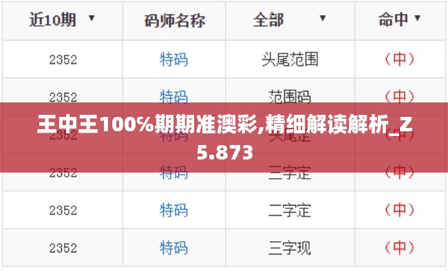 王中王100℅期期准澳彩,精细解读解析_Z5.873