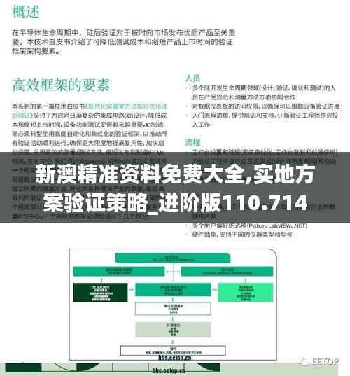 新澳精准资料免费大全,实地方案验证策略_进阶版110.714