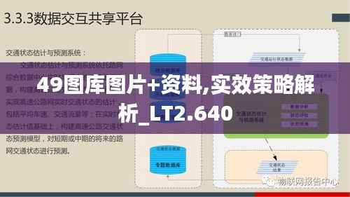 49图库图片+资料,实效策略解析_LT2.640