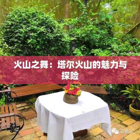 择善而从 第5页