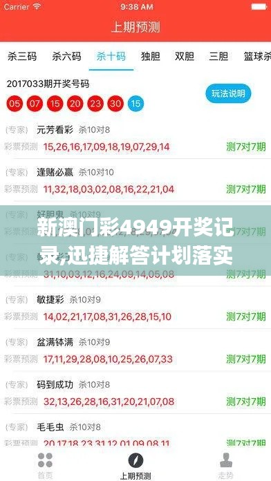 新澳门彩4949开奖记录,迅捷解答计划落实_V版9.673
