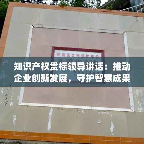 知识产权贯标领导讲话:推动企业创新发展,守护智慧成果
