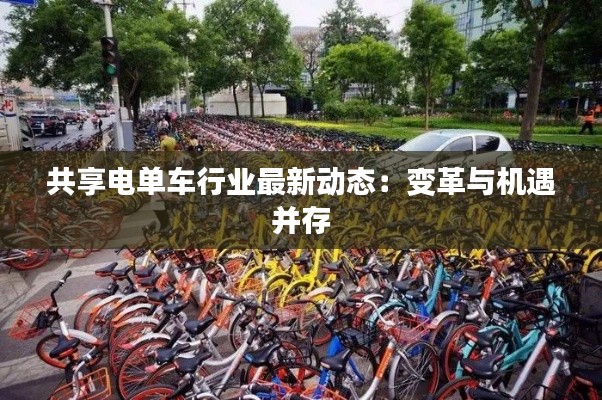 虫书鸟篆 第5页