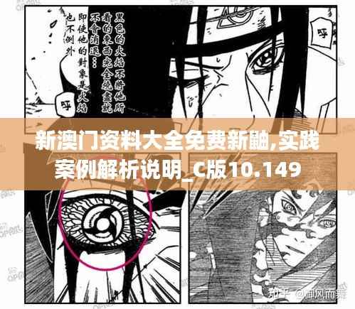 新澳门资料大全免费新鼬,实践案例解析说明_C版10.149