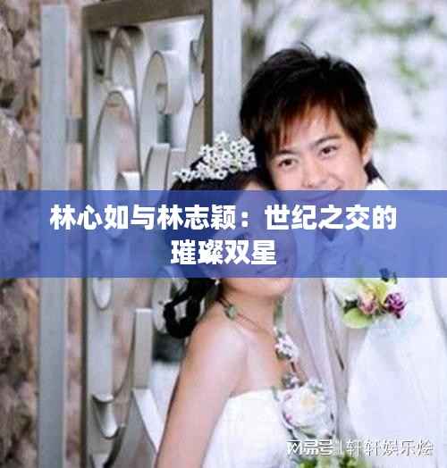 林心如与林志颖:世纪之交的璀璨双星