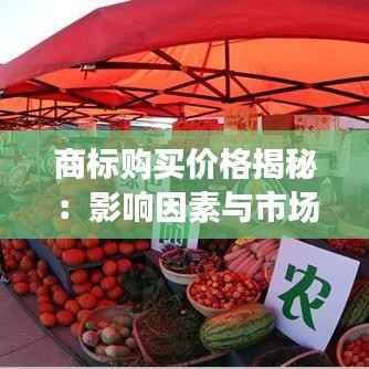 商标购买价格揭秘：影响因素与市场行情分析