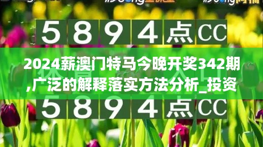 2024薪澳门特马今晚开奖342期,广泛的解释落实方法分析_投资版5.430
