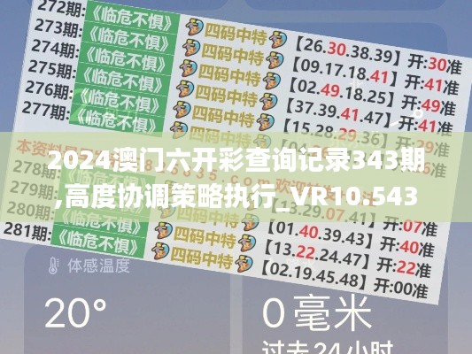 2024澳门六开彩查询记录343期,高度协调策略执行_VR10.543