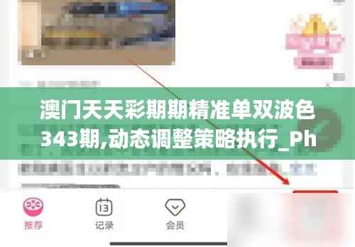 澳门天天彩期期精准单双波色343期,动态调整策略执行_Phablet15.690