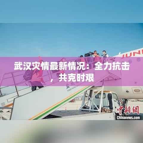 仙姿佚貌 第5页