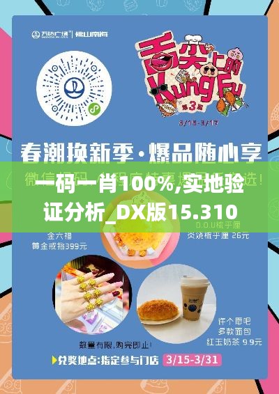 一码一肖100%,实地验证分析_DX版15.310