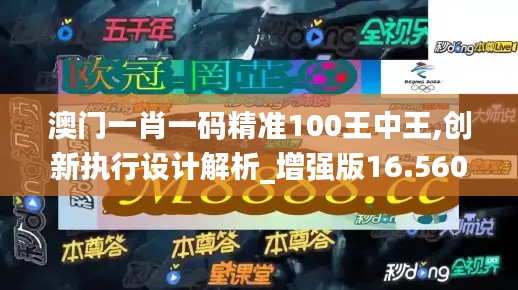 澳门一肖一码精准100王中王,创新执行设计解析_增强版16.560