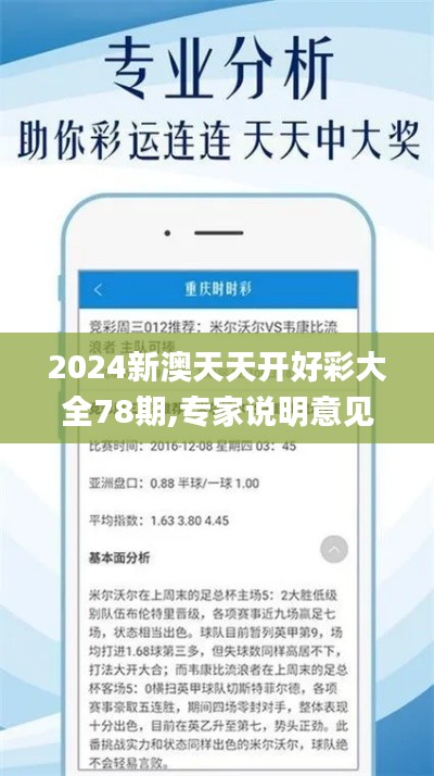 2024新澳天天开好彩大全78期,专家说明意见_模拟版1.752