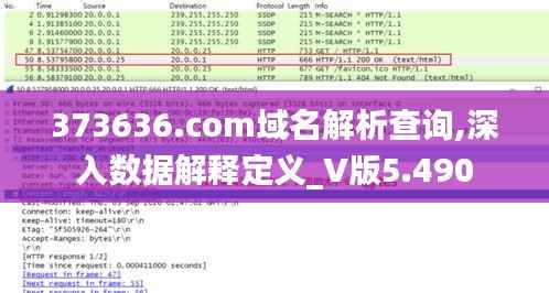 373636.com域名解析查询,深入数据解释定义_V版5.490