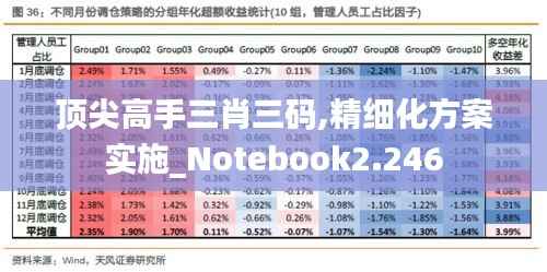 顶尖高手三肖三码,精细化方案实施_Notebook2.246