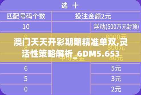 澳门天天开彩期期精准单双,灵活性策略解析_6DM5.653