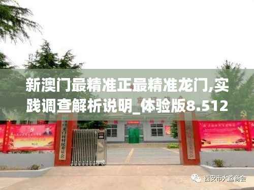 新澳门最精准正最精准龙门,实践调查解析说明_体验版8.512