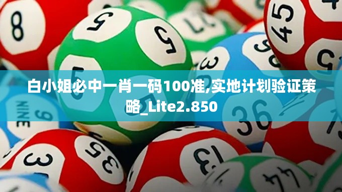 白小姐必中一肖一码100准,实地计划验证策略_Lite2.850